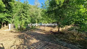 Casa cu teren de vanzare in Baita, 140m², 4 camere, Comision 0% - imagine 15