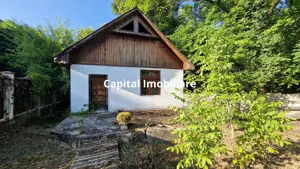 Casa cu teren de vanzare in Baita, 140m², 4 camere, Comision 0% - imagine 17