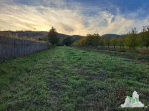 Teren de vanzare   Maneciu Pamanteni