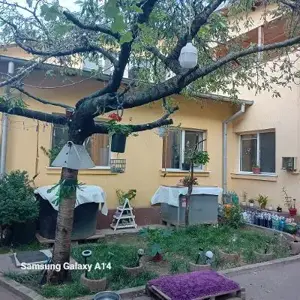 casa cu etaj si spatiu comercial  liceul 1 mai - imagine 10