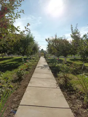 Casa+ teren zona Cișmea Botoșani - imagine 4