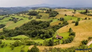 10.335 mp + imobil, splendoare si regasire in mijlocul naturii, Poiana Marului - imagine 7