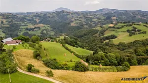 10.335 mp + imobil, splendoare si regasire in mijlocul naturii, Poiana Marului - imagine 4