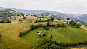 10.335 mp + imobil, splendoare si regasire in mijlocul naturii, Poiana Marului - imagine 10