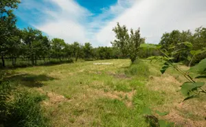 Casa de familie in zona rurala linistita - imagine 6