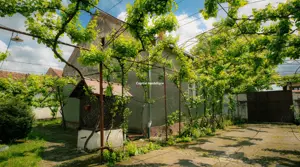 Casa de familie in zona rurala linistita - imagine 7