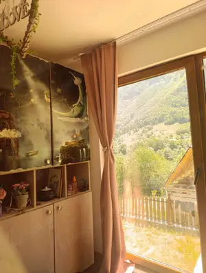 Vand casa de vacanta traditionala in satul natal a Lui Avram Iancu - imagine 6