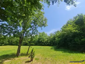 FILM! Oaza paradisiaca cu lac, vedere catre Bucegi, Glajerie  Rasnov, pretabil Casute Pensiune - imagine 4