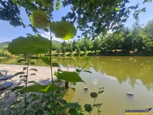 FILM! Oaza paradisiaca cu lac, vedere catre Bucegi, Glajerie  Rasnov, pretabil Casute Pensiune - imagine 9