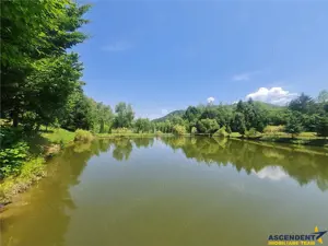 FILM! Oaza paradisiaca cu lac, vedere catre Bucegi, Glajerie  Rasnov, pretabil Casute Pensiune - imagine 14