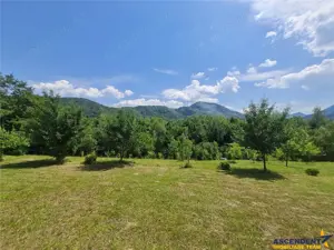 FILM! Oaza paradisiaca cu lac, vedere catre Bucegi, Glajerie  Rasnov, pretabil Casute Pensiune - imagine 3