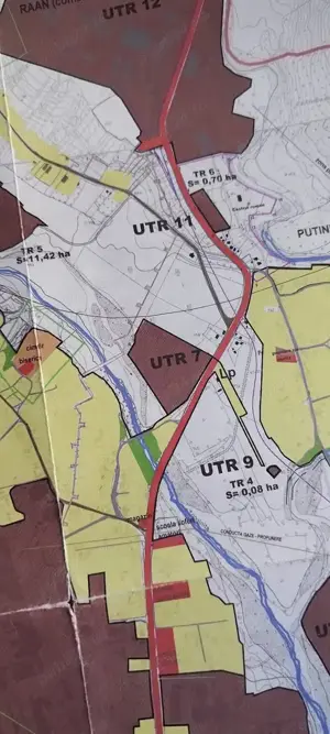 Teren cu Plante Medicinale - imagine 5