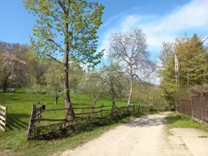 Teren de vanzare - Breaza - 1950mp