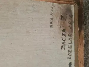 Tablou nud baia mare - imagine 5