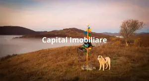 Teren intravilan  in Sohodol , Alba