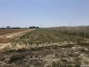 Vând teren intravilan