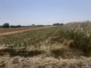 Vând teren intravilan - imagine 4 Vând teren intravilan - imagine 4