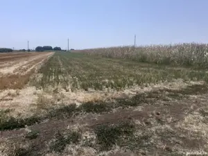 Vând teren intravilan - imagine 5 Vând teren intravilan - imagine 5