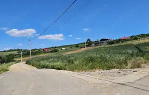 Teren extravilan Bucium Iasi - imagine 2