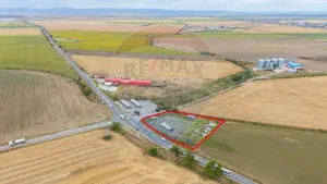 Teren 4200 mp, poziție strategică, utilități, Centura Arad - imagine 7