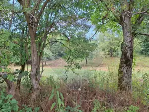 Teren de vânzare 990mp în Barzava, județul Arad - imagine 7