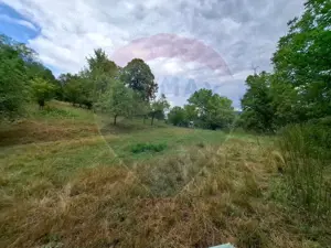 Teren de vânzare 990mp în Barzava, județul Arad - imagine 3