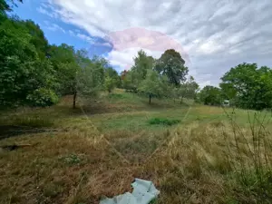 Teren de vânzare 990mp în Barzava, județul Arad - imagine 2