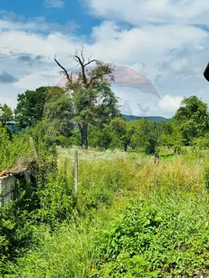 Casă / Vilă cu 3 camere de vânzare - imagine 9 Casă / Vilă cu 3 camere de vânzare - imagine 9