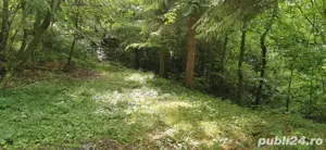 Vand teren extravilan zona Remeti Barajul Dragan  - imagine 5