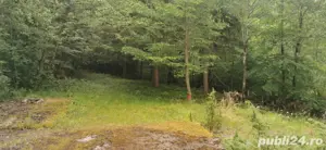 Vand teren extravilan zona Remeti Barajul Dragan  - imagine 4