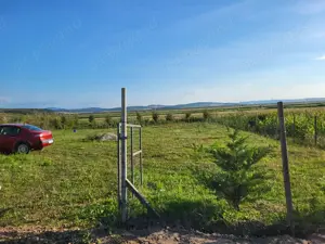 Vand teren in Recea Mare, Salaj