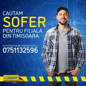 Angajam Sofer Profesionist - cat.C+E -Timisoara - imagine 2