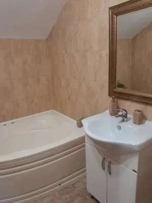 Vand casa P+M Ceangai Deva - imagine 8