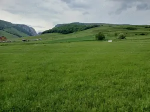 Vând teren intravilan