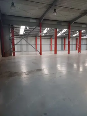 Hala industriala (4.125 mp) si spatiu administrativ (125 mp) - Str.Traian Vuia , Ghimbav