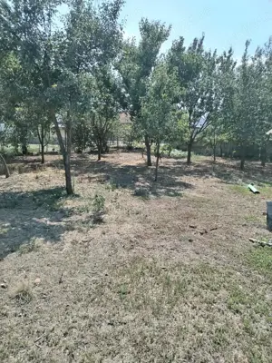 Proprietar vând casa loc Racovita judet Timiș  - imagine 10