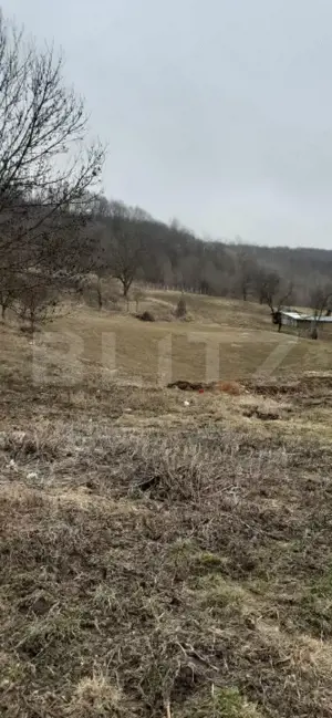 Casa batraneasca cu teren de 6700 mp intravilan, Ipatele