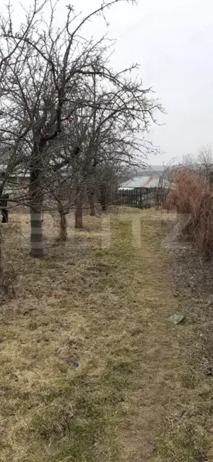 Casa batraneasca cu teren de 6700 mp intravilan, Ipatele