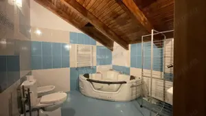 DUPLEX PANORAMIC - Un colt de rai in BRAGADIRU - 155 MP - imagine 15