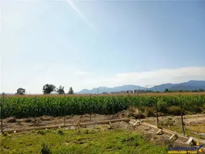 Design minimalist, rafinament maxim – Casa ta moderna in Sanpetru - imagine 14