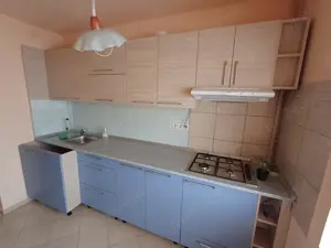 Cantacuzino - Pisica Alba gatsoniera decomandata etaj 1  - imagine 2