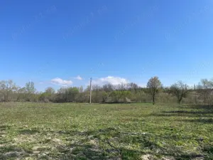 Parcele intravilan, Caransebes 55Eu Mp - imagine 10