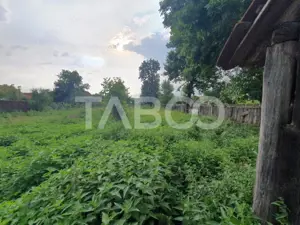 Casa de vanzare in Mandra 140 mp utili curte sura anexe 3 beciuri - imagine 8