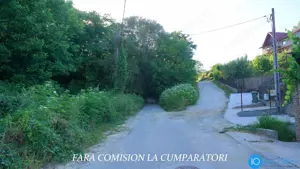 TEREN 6700 MP, INTRAVILAN LANGA PADURE - imagine 6