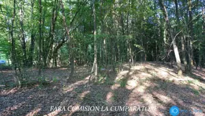 TEREN 6700 MP, INTRAVILAN LANGA PADURE - imagine 11