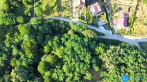 TEREN 6700 MP, INTRAVILAN LANGA PADURE - imagine 4