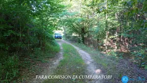 TEREN 6700 MP, INTRAVILAN LANGA PADURE - imagine 13