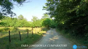 TEREN 6700 MP, INTRAVILAN LANGA PADURE - imagine 9