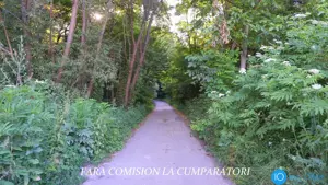 TEREN 6700 MP, INTRAVILAN LANGA PADURE - imagine 7