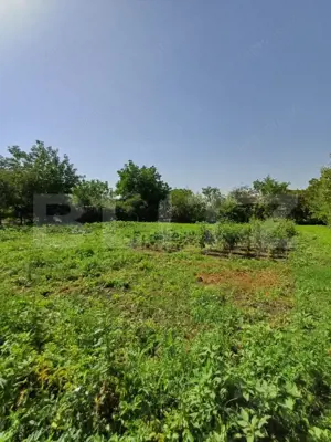 Casa 4 camere in Viisoara, langa Campia Turzii - imagine 3